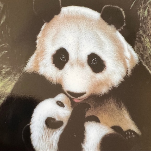 The Panda collector plate Last of Their Kind: The Endangered Species 1988. - Picture 3 of 4